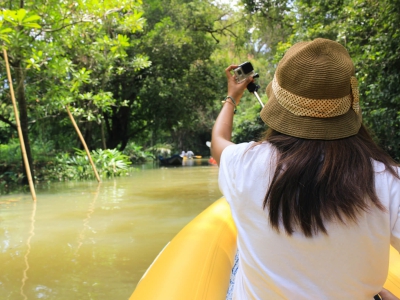 10 Razones para Visitar el Pantanal: Naturaleza Intocada y Aventura sin Límites